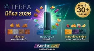 TEREA มีกี่รส 2026? รวมรสชาติ TEREA แต่ละกลุ่ม อัปเดตล่าสุด