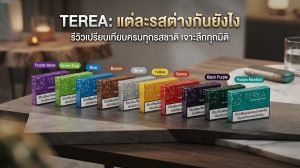 TEREA แต่ละรสต่างกันยังไง? เปรียบเทียบกลิ่น รส และความเย็น