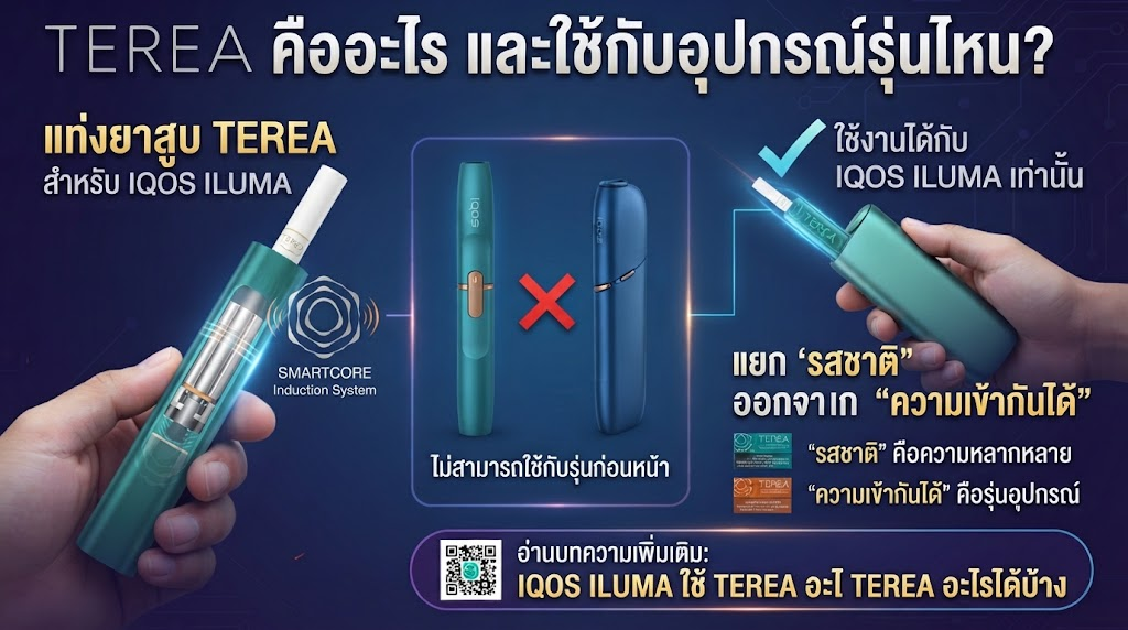 TEREA มีกี่รส 2026